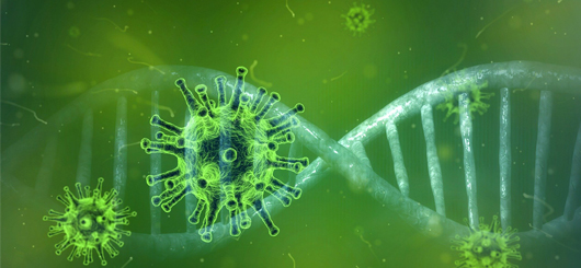 Coronavirus