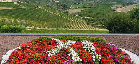 View of the Roero wine region. View of the Roero wine region.