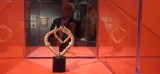 Objekt in Gold, Sujet en or, 1973